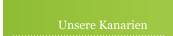 Unsere Kanarien